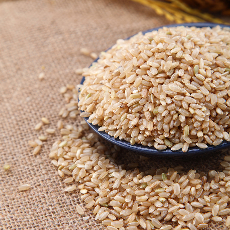 糙米1.png